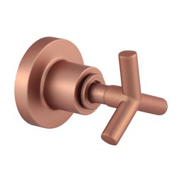 Acabamento Registro Rose Gold Fosco Banheiro Padrão Deca 3/4 - 1