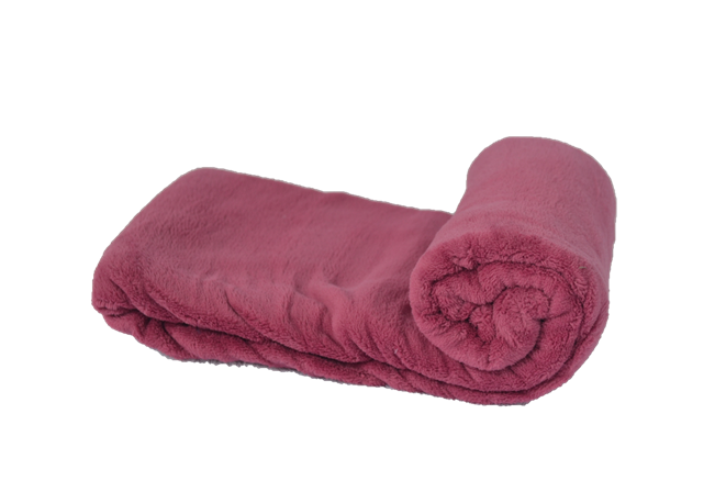 Cobertor Microfibra Bebê Liso Borgonha - Rose - Bebê - 2