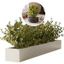 Ver imagem 7 de Kit 15 Buquês de Eucalipto Artificial 40cm com 6 Hastes – Folhagem Realista de Alta Qualidade