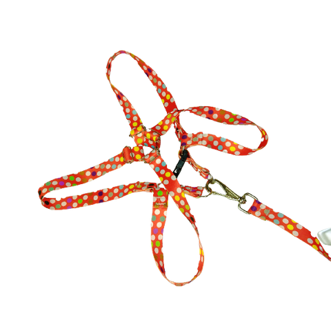 Conjunto Peitoral Ajustável RBPet com Guia - Cães de Grande Porte