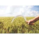 Ver imagem 3 de Foicinha com Dentes Tramontina em Aço com Cabo de Madeira