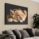 Ver imagem 1 de Quadro Decorativo em Canvas Filhote do Predador TaColado Moldura Flutuante 4,5cm Freijó 90 x 60cm
