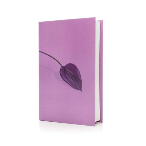 Caixa Livro Para Ornamentação Lavanda 27X17X5Cm