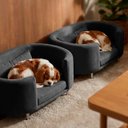 Ver imagem 5 de Cama para Cachorro e Gato Caminha Chase Pet Veludo Cinza Pés Metal com Regulagem - Arkell
