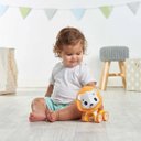 Ver mais imagens de Brinquedo Bebê Educativo Infantil A partir 3 Meses Sanfonado Carrinho Rolling - Tiny Love - Leão Leo