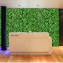 Ver imagem 2 de Kit 17 Placas Trevo Artificial Folhagem Verde Decorativa de Fácil Instalação e sem Manutenção
