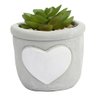 Vaso com Planta Permanente Coração 9x7,5cm Urban - 1