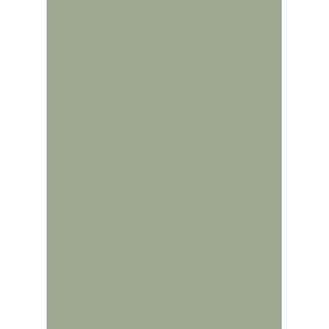 Papel de Parede Botânica 81529