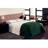 Coberdron Casal Queen Dupla Face Sherpa com Manta Soft Verde - 1