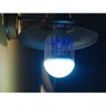 Lâmpada Led 60w Luz Branca 2 em 1 com Armadilha para Mosquitos Wish Lampada94051099 - 2