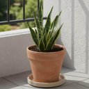 Ver imagem 3 de Prato Médio para Vaso de Planta Granito Areia Polietileno Tramontina Jardim Flor