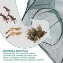 Ver imagem 4 de Armadilha Peixe Covo 8 Furos Rede Pesca Isca Siri Camarao Lagosta Ciriguejo Piaba Lambari Mar Açude