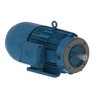 Motofreio Trifásico Weg 220/380/440v Ir3 Premium 1cv 4 Polos Flange C-din (b34d) W22 - 1