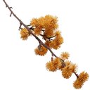 Ver imagem 4 de Kit 4 Plantas Artificiais Mamonas Decoração Jardim de 70cm