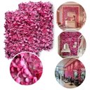 Ver imagem 1 de 13 Placas para Jardim Vertical Decorativo 60x40 com Flores Artificiais