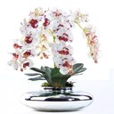 Ver imagem 1 de Arranjo 4 Orquídeas Artificiais Tigre em Terrário Prata Mari