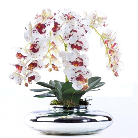 Arranjo 4 Orquídeas Artificiais Tigre em Terrário Prata Mari