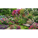 Ver imagem 6 de Gazebo Telado Pergolado, Castacristal, Decoração Natural, 300cm