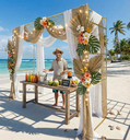 Ver imagem 4 de Gazebo Telado Pergolado, Castacristal, Decoração Natural, 300cm
