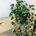 Ver imagem 3 de Arranjo Artificial Folhagem Planta Jibóia Caída com Vaso