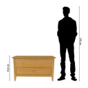 Ver imagem 5 de Baú Sapateira em Madeira Maciça Nest Natural Pine Artemobili