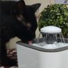 Bebedouro Fonte Agua Gatos Filtro 2.5 litros Cachorro Pet Bomba dagua caes - 6