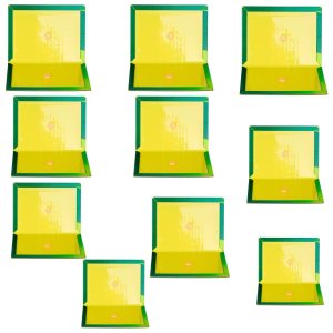 Ratoeira Adesiva Cola Pega Rato 20x15cm | 10 Un