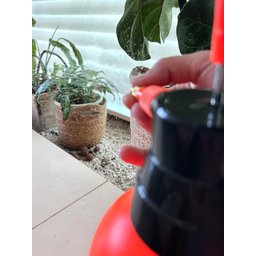 Pulverizador Borrifador Manual Spray 2 Litros - 3