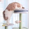 Árvore de Gatos Arranhador Brinquedo Torre Cama Toca Grande 1,50m - 7