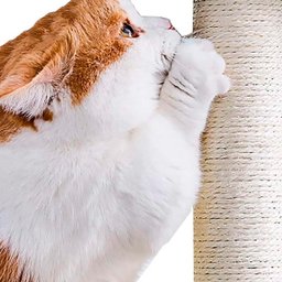 Árvore de Gatos Arranhador Brinquedo Torre Cama Toca Grande 1,50m - 10
