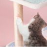 Árvore de Gatos Arranhador Brinquedo Torre Cama Toca Grande 1,50m - 9