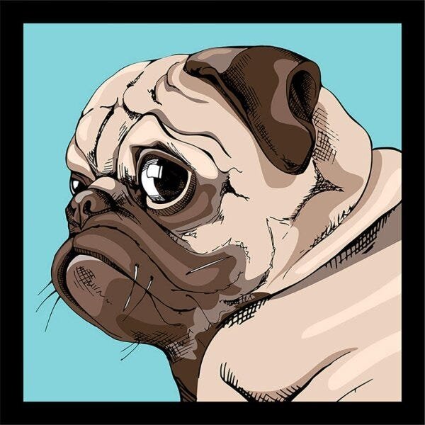 Kit de Quadros Decorativos 5 Peças Cachorro Pug Sofistiq - 3