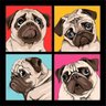 Kit de Quadros Decorativos 5 Peças Cachorro Pug Sofistiq - 2
