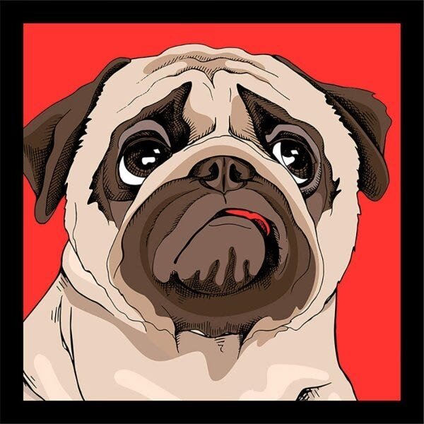 Kit de Quadros Decorativos 5 Peças Cachorro Pug Sofistiq - 5