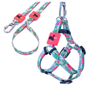 Coleira Cachorros com Guia Flamingo G Style