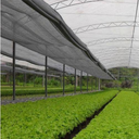 Ver imagem 4 de Tela Sombrite Proteção Hortaliças Modelo Freshnet 4m X 2m + Ilhós