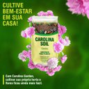 Ver imagem 5 de Substrato para Plantas Garden (8l) Carolina Soil