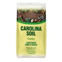Ver imagem 1 de Substrato para Plantas Garden (8l) Carolina Soil