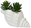 Ver imagem 3 de Vaso Decorativo Flores Cerâmica Branco Concha Espiral Oceano