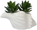 Ver imagem 2 de Vaso Decorativo Flores Cerâmica Branco Concha Espiral Oceano