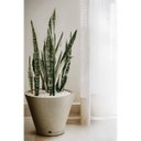 Ver imagem 3 de Vaso Petra Cone 30 com Prato (20l) Cor Cimento Nutriplan