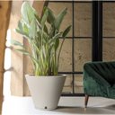 Ver imagem 2 de Vaso Petra Cone 30 com Prato (20l) Cor Cimento Nutriplan