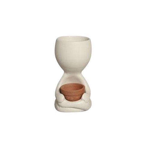 Robert Plants Marfin P Vaso Suculenta