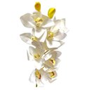 Ver imagem 2 de Galho 10 Orquidea Cymbidium Grande Toque Real - Branca 63cm