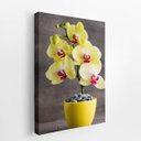 Ver imagem 2 de Quadro Orquídeas Amarelas Flor em Vaso Canvas 60x40cm