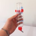 Ver imagem 3 de Kit Gaiola Porquinho Índia Aramado Bandeja Bebedouro 300ml - Vermelho