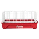 Ver imagem 5 de Kit Gaiola Porquinho Índia Aramado Bandeja Bebedouro 300ml - Vermelho