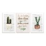 Kit 3 Quadros Decorativos Cactos Verde Frases - 1