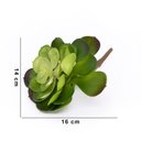 Ver imagem 4 de Suculenta Planta Artificial Verde 14x16 Cm - D'Rossi