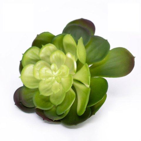Suculenta Planta Artificial Verde 14x16 Cm - D'Rossi